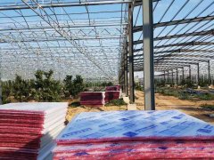 PC中空陽(yáng)光板