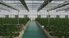 安陽(yáng)內(nèi)黃科技博覽園工程案例